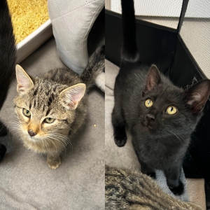 benny und lenny benny und lenny